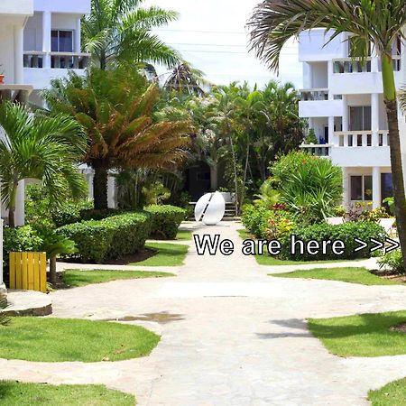 Condo Cabrinha - Direct On Kite Beach Cabarete Ruang foto