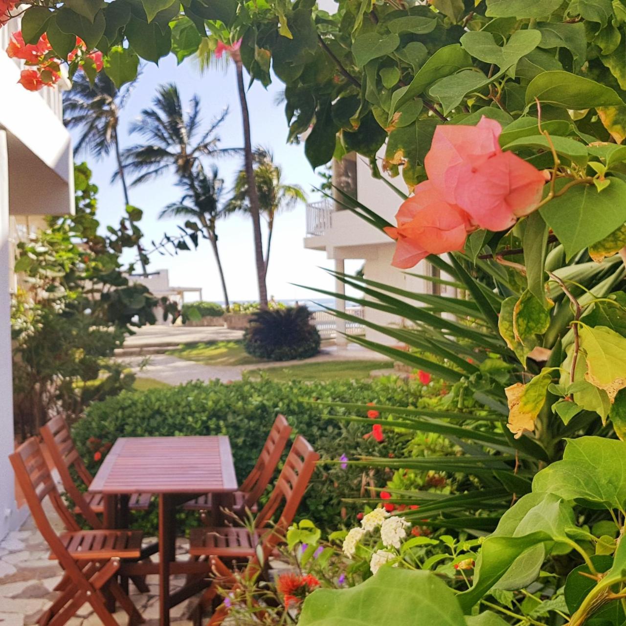 Condo Cabrinha - Direct On Kite Beach Cabarete Bagian luar foto